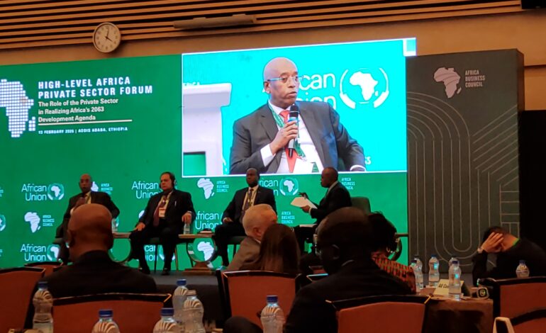 Union africaine : le secteur privé appelé à prendre les commandes de l’Agenda 2063