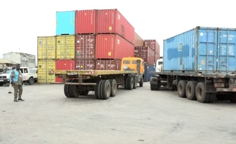 Congo-Chine : Une première cargaison de Poria Cocos en route vers l&rsquo;Asie grâce au « zéro tarif douanier »