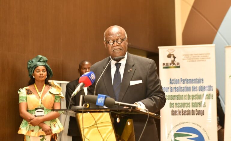 Urgence écologique en Afrique centrale : La Déclaration de Yaoundé scelle l&rsquo;alliance de la science et de la finance climat